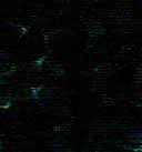 5petalibk2.jpg (7322 byte)