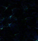 5petalibk3.jpg (8040 byte)