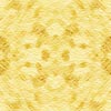 pizzo1.jpg (9849 byte)