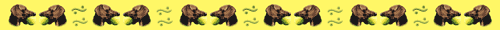 bassottoline.gif (3789 byte)