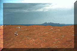 Monti Olgas da Ayers Rock