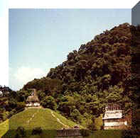 Palenque (17073 byte)